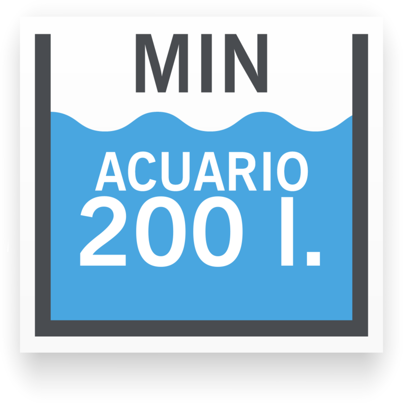 Tamaño de acuario mínimo para Acanthurus coeruleus