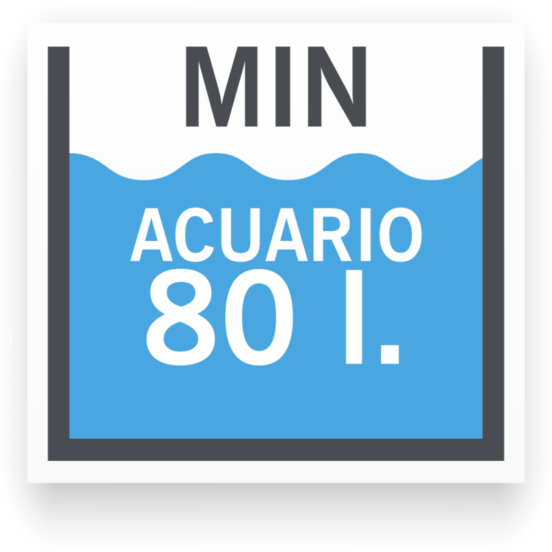 Tamaño de acuario mínimo para Betta MediaLuna Azul (Grado B) Macho
