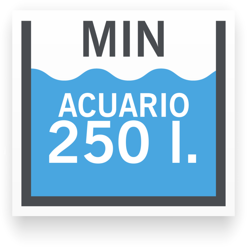 Tamaño de acuario mínimo para Cíclido Ajedrez Esbelto