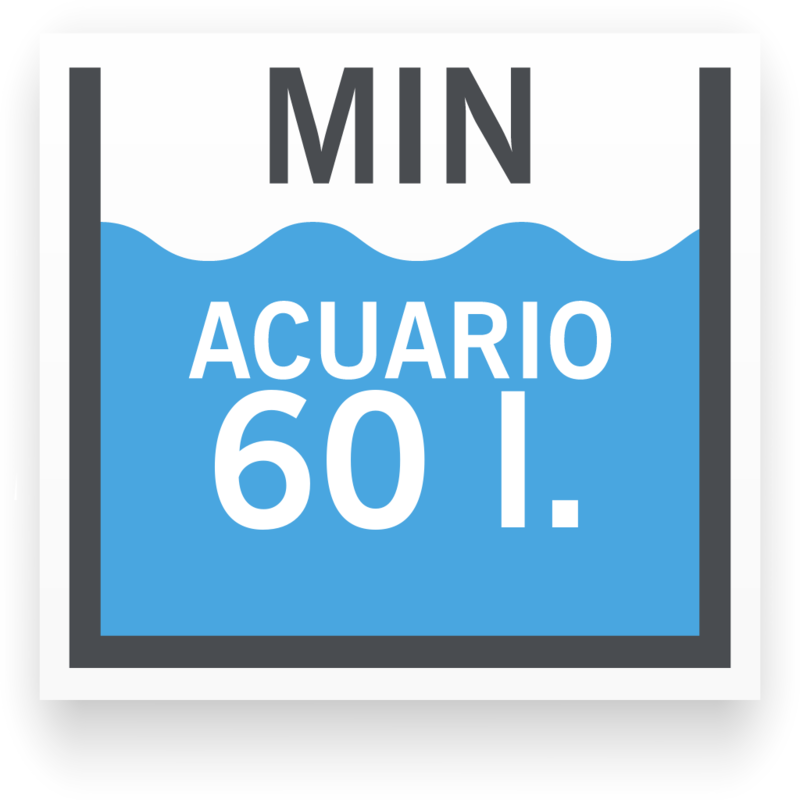 Tamaño de acuario mínimo para Colisa Rayada Macho