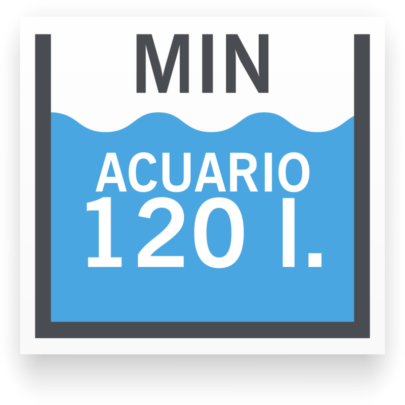 Tamaño de acuario mínimo para Disco Azul Manacapuru