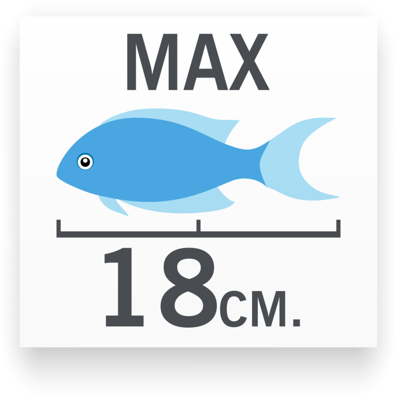 Tamaño del pez M’Buna Azul